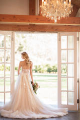 1154 Tulle And Royal Organza Over Ivory Gown With Porce back