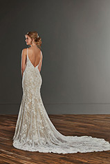 1173 Ivory Lace And Tulle Over Honey Gown With Ivory Tu back
