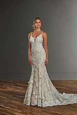 1173 Ivory Lace And Tulle Over Honey Gown With Ivory Tu front