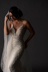 1181 Ivory Lace And Tulle Over Honey Gown With Java Tul detail