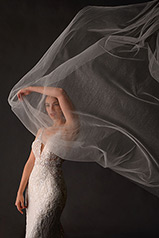 1181 Ivory Lace And Tulle Over Honey Gown With Java Tul detail