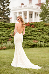 1181 Ivory Lace And Tulle Over Honey Gown With Java Tul back