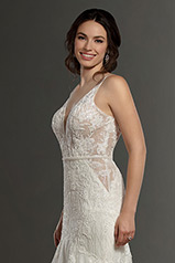 1182 Ivory Lace Ivory And Stone Tulle Over Honey Gown W detail