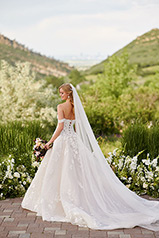 1213 Ivory Lace Tulle And Moscato Royal Organza Over Mo back