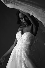 1232 Ivory Lace Tulle And Royal Organza Over Moscato Go detail