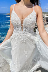 1323 (iviv-iv) Ivory Lace And Tulle Over Ivory Gown Wit detail