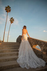 1348 (iviv-iv) Ivory Lace And Tulle Over Ivory Gown Wit back