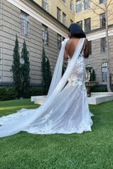 1374 (ivhy-iv) Ivory Lace And Tulle Over Honey Gown Wit back