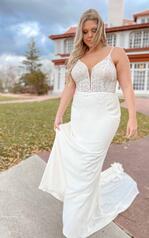 7185 (IV-IV)Ivory Lace And Tulle Over Ivory Gown With I front
