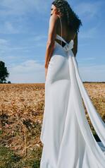 7290 (IV-IV)Ivory Gown With Ivory Tulle Plunge back