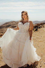 7322 (iv-iv) Ivory Lace And Tulle Over Ivory Gown front