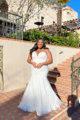 7323 (iviv-iv) Ivory Lace And Tulle Over Ivory Gown Wit front