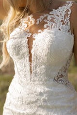 7325 (iviv-iv) Ivory Lace And Tulle Over Ivory Gown Wit detail
