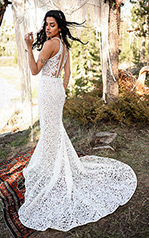 Adley Ivory Lace Over Ivory Georgette With Ivory Tulle I back