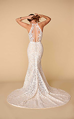 Adley Ivory Lace Over Ivory Georgette With Ivory Tulle I back