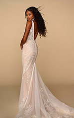 Avery Ivory Lace And Tulle Over Ivory Calais Chiffon Wit back