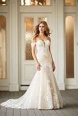 LE1103 Ivory Lace And Tulle Over Ivory Gown With Ivory Tu front