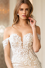 LE1103 Ivory Lace And Tulle Over Ivory Gown With Ivory Tu detail