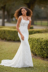 LE1106 Ivory Lace And Tulle Over Ivory Gown With Ivory Tu front