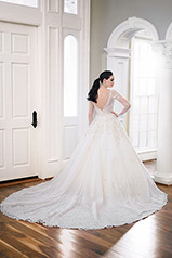 LE1108 Ivory Gown With Ivory Tulle Plungenivory Gown With back