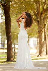 LE1110 Ivory Gown With Ivory Tulle Plungenivory Gown With back