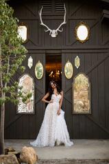 Raine Ivory Lace And Tulle With Ivory Lined Bodice Over  front