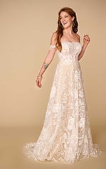 Raven Ivory Lace And Tulle Over Hazelnut Gown front