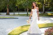 6595 Ivory Lace And Tulle Over Ivory Dolce Satin front