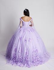 Q100 Lilac back