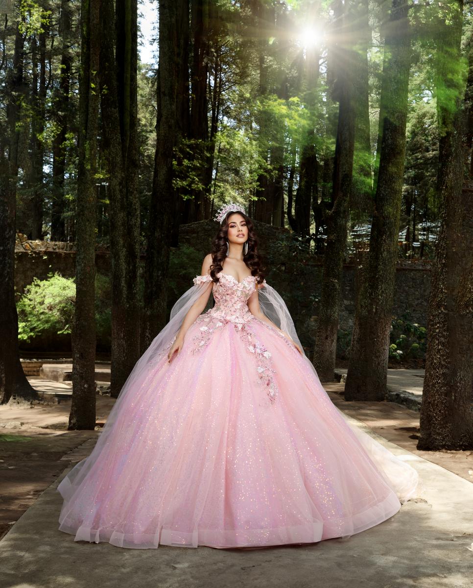 Nina Canacci Q114