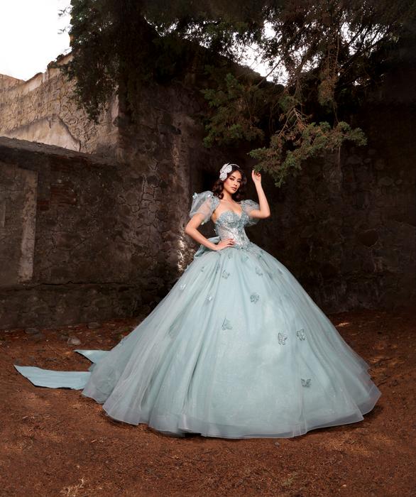 Nina Canacci Quinceanera Q119