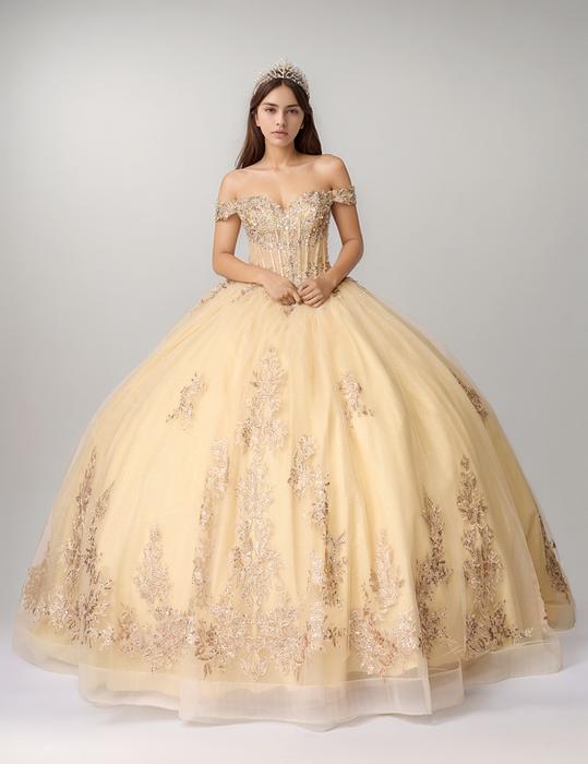 Nina Canacci Quinceanera Q136