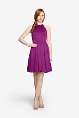 536-Perry Violet front