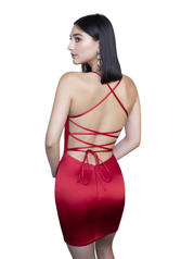 60000 Red back