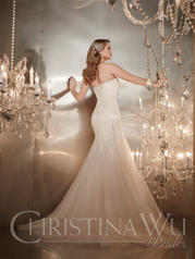 15557 Ivory/Champagne/Silver back