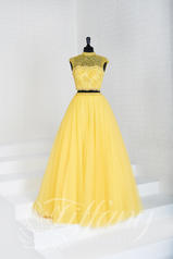 16281 Yellow front