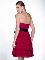 22503 Claret back
