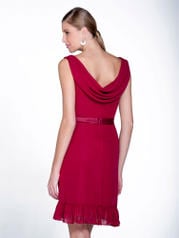 22504 Red back
