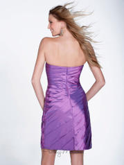 22506 Amethyst back