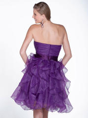 22507 Purple back
