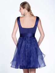 22512 Navy back