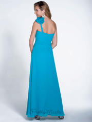 22513 Teal back