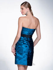 22515 Teal-taffeta back