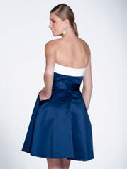 22516 Navy-taffeta back