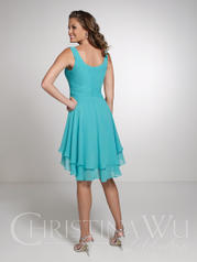 22540 Mermaid back