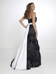 22552 Black back