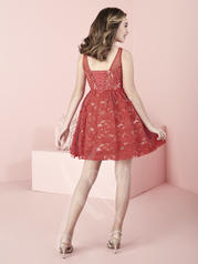 37026 Red/Nude back