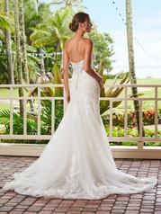31221 Ivory/Almond/Nude/Silver back