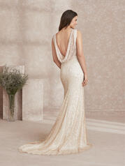40300 Nude/Ivory/Silver back