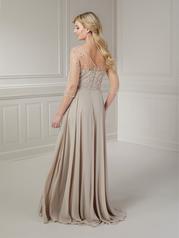 17139 Taupe back
